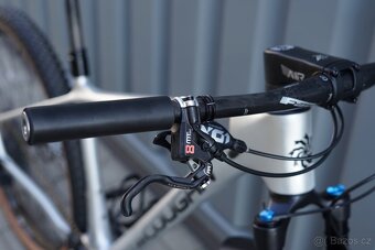 Kolo Lee Cougan - 11