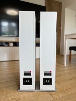 Dali Zensor 5 - 11