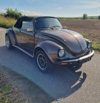 2x Vw Brouk - 11