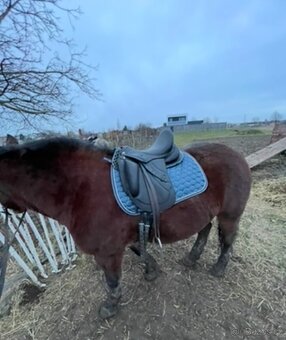 Kentaur Ithaka APM - 11