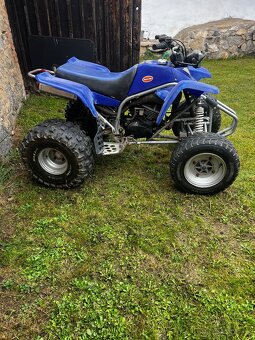 Yamaha Blaster YFS 200 - 11