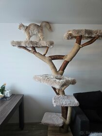 LUXUSNÍ kočičí stromy - 11
