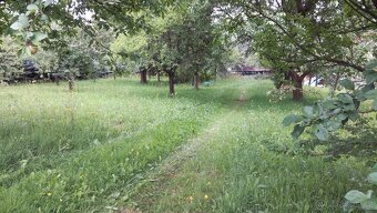 Prodej parcely - 11