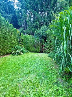 Prodej chaty, pozemek 423 m² Obora, Lanškroun - Ostrov - 11