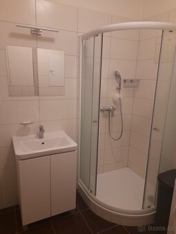 Pronájem bytu 1+kk (36m2) - 11