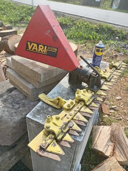 Tera Vari - 11