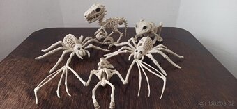 Halloween: Dámský kostým + vybavení - 11