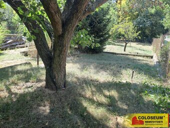 Citonice, chata 1+1, 16 m2, zahrada, sklep – chata - 11