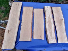 Fošny a hranolky přes 60 druhů exotiky i českých dřevin - 11