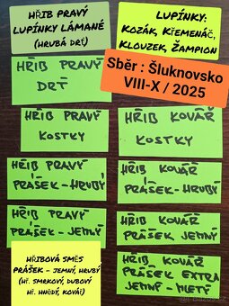 🍲🎄Houby sušené 2025 - 11