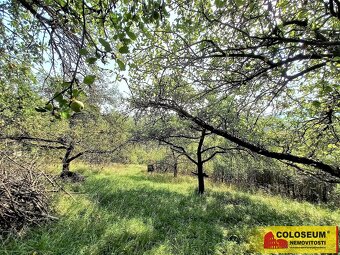 Blansko - Bačina, zahrada 593 m2 - pozemek, ev.č. V3367BL026 - 11