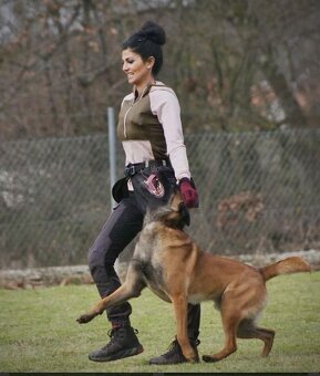 Belgický ovčák malinois s PP - 11