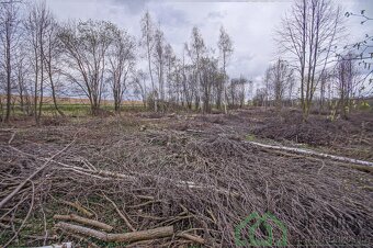 Prodej pozemku v obci Terezín u Mikulovic - 11