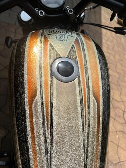 Harley Davidson Sportster iron 883 Goaart custom - 11