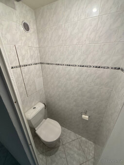 Byt 3+1 Čéčova ulice - 11