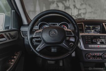 MERCEDES BENZ ML-250CDi-4Matic-DPH-R19 - 11
