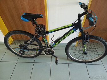 Leader Fox junior - 11