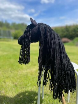 Hobby horse - 11