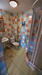 Ubytovaní Apartmán Tatralandia, Liptov, Tatry - 11