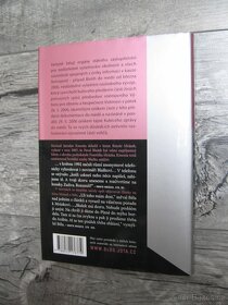 Krach temného pozadí Kubiceho aféry - Pavel Blažek - 11