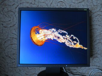 Monitor Eizo FlexScan S1910 - 11