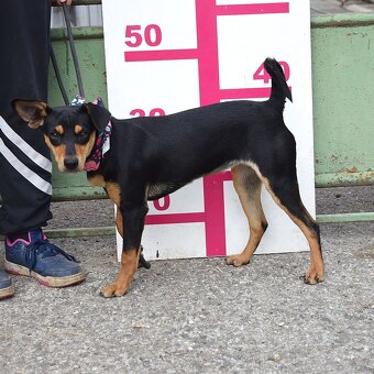 Vitalina rezervace - 11