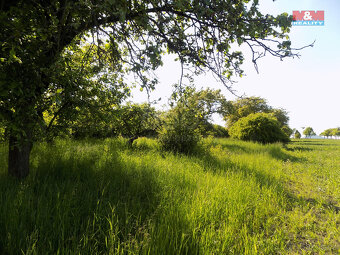 Prodej ovocného sadu, 912 m², Třebenice, ul. Třebenice - 11