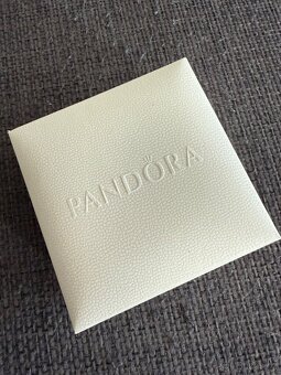 Stříbrný dvojitý náramek Pandora - 11