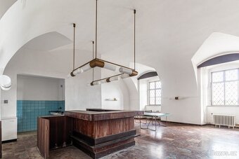 Prodej pozemku pro komerční výstavbu, 7700 m2 - Manětín - Ra - 11