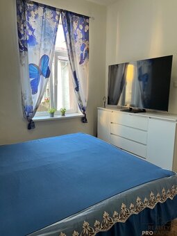 Prodej domu k bydlení i podnikání, dům s 5 bytovými jednotka - 11