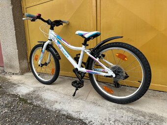 Superior Paint 20 dětské kolo s páčkovým řazením, pěkný stav - 11