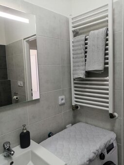 Pronájem 1kk Židlochovice - 11