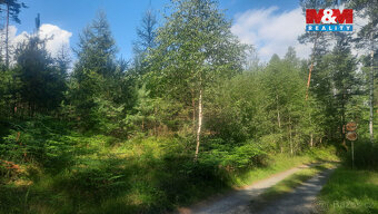 Prodej lesa, 108447 m², Březovice - 11