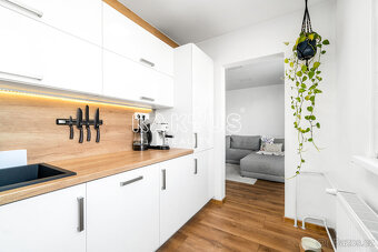 Pronájem krásného bytu 2+1 [54 m2] na ulici Fibichova 145 ve - 11