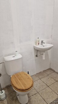 Pronájem obchodních/komerčních prostor Petřvald u Karviné - 11