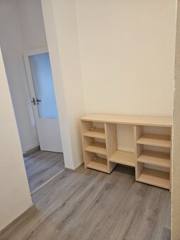 Pronájem 1+1 tř. Kpt. Jaroše, Brno - 11