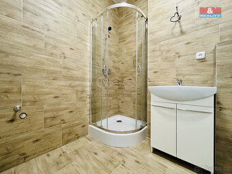 Pronájem bytu 1+kk, 24,5 m², Janovice n. Úhlavou - 11