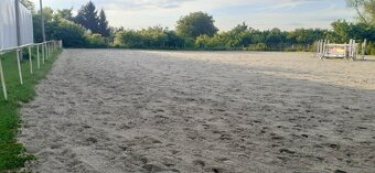 Nabízíme exkluzivně k prodeji jezdecký areál s 26 boxy, rodi - 11