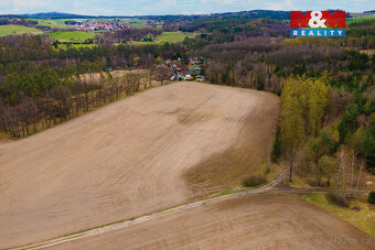 Prodej pole, 5839 m², Předenice - 11