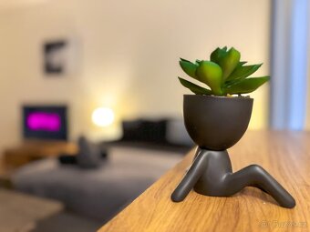 Pronájem bytu 1+kk – 30 m² - 11