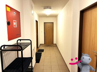 Prodej bytu 1kk + terasa, parkování, 40 m², Ostružná - Petří - 11