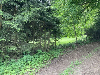 Sušice, prodej pozemku se stavebním povolením 2 chaty - 11
