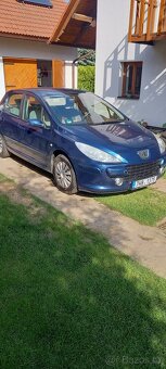 Peugeot 307 - 11