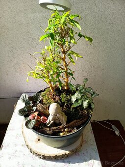 Prodej krevetek a doplňků - 11