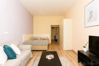 Pronájem bytu 1+1 40 m² Máchova, Praha - Vinohrady - 11