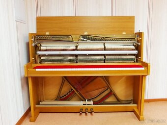 Aspheim -Dovoz zdarma i na Štědrý den 24.12. - 11