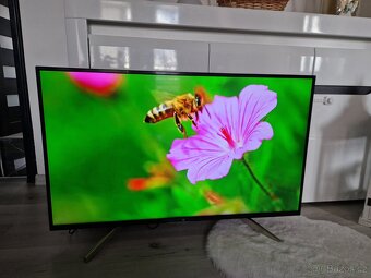 4K UltraHD Smart Tv Sony KD-43XF7596 - 11