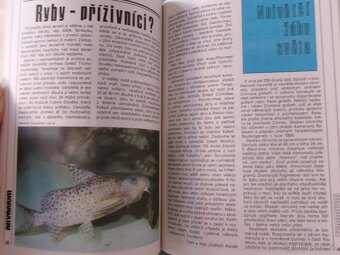 Magazín Akvárium terárium. - 11