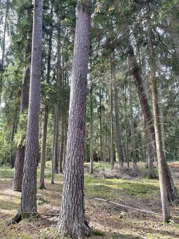 Prodám pozemky v k.ú. Drahov - 11