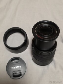 Panasonic Lumix DMC-GX80 + 25mm/1,7 + 45-150mm/4,0-5,6 - 11